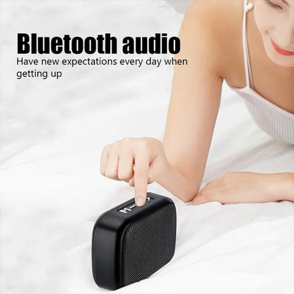 TWS Bluetooth Outdoor Speaker